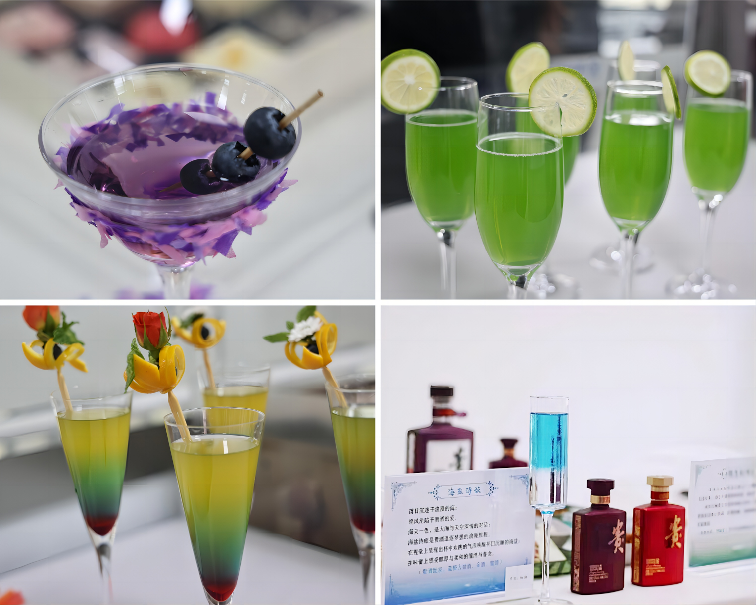 72923256.png 72923256.png